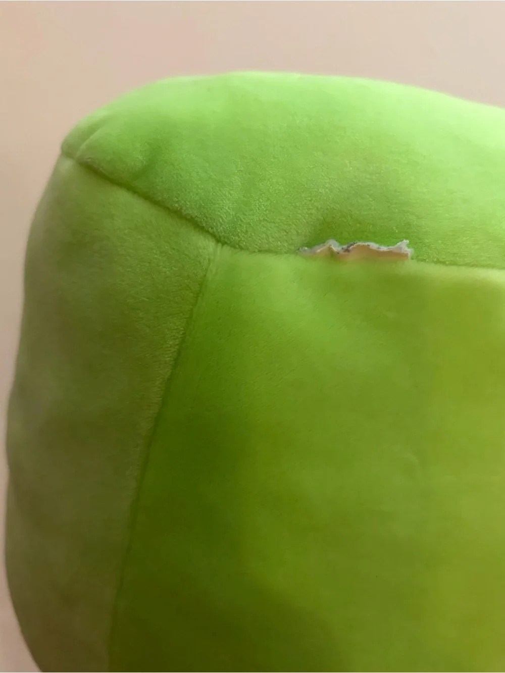 danny the dinosaur squishmallow